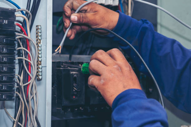Best Electrical Repair Services  in Carthage, IL