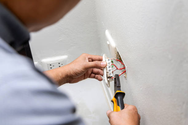 Best Electric Panel Repair  in Carthage, IL