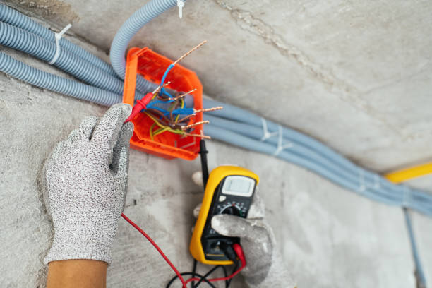 Best Licensed Electrician  in Carthage, IL
