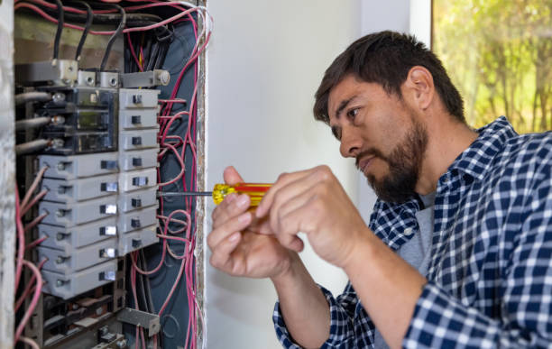 Best Electrical System Inspection  in Carthage, IL